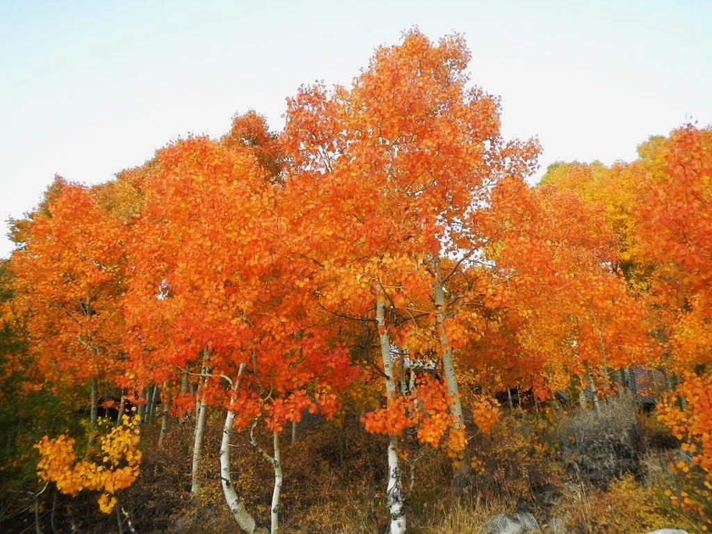 October in the Eastern Sierras